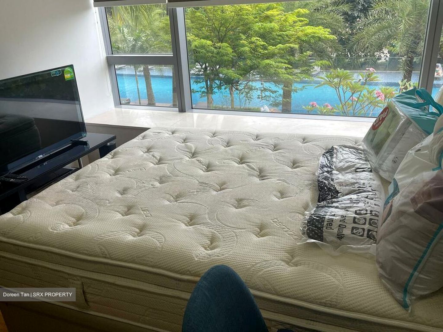 SilverSea (D15), Condominium #521412221